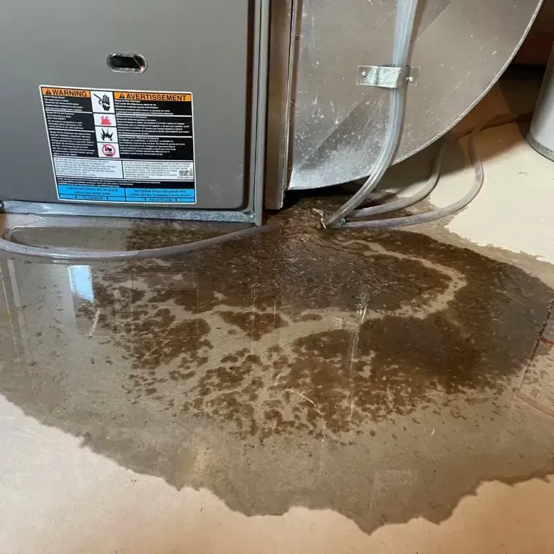 Appliance Leak Cleanup in Moosic, PA